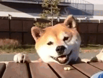 너에게 닿기를.gif | 인스티즈