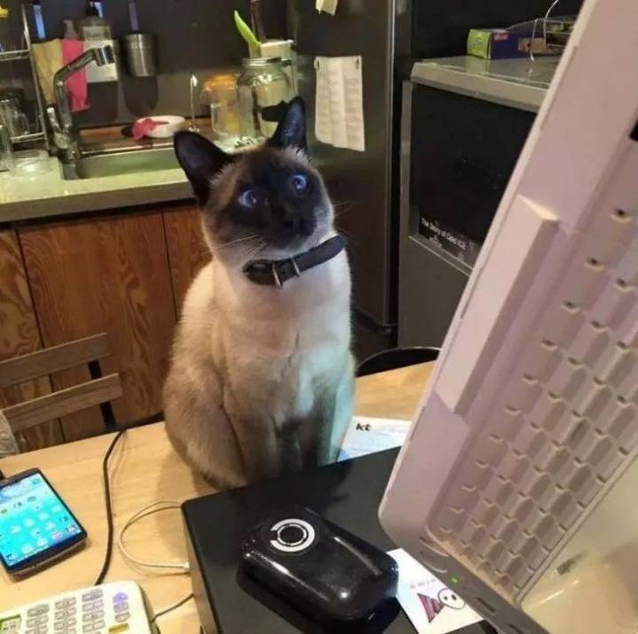 커피주문을 했는데 사장님이 결제방법을 모르시는거 같다... | 인스티즈