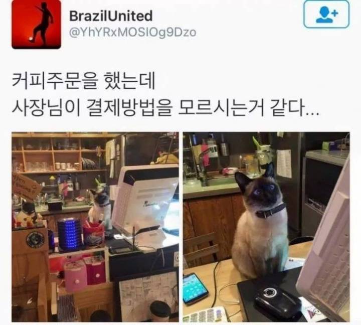 커피주문을 했는데 사장님이 결제방법을 모르시는거 같다... | 인스티즈