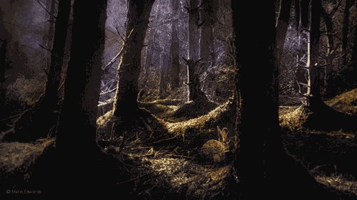  그런 날이 있었습니다 | 인스티즈