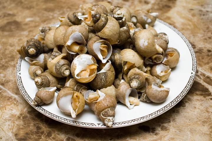 한국인은 잘 먹는데 다른 나라는 의외로 잘 안먹는 음식들 | 인스티즈