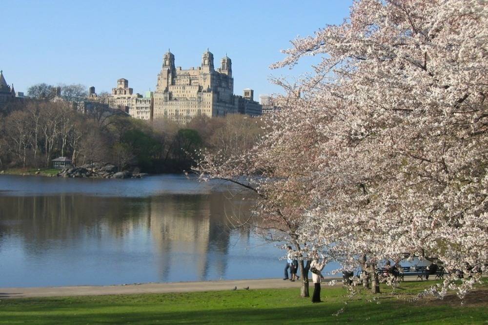 천조국의 흔한 공원 | 인스티즈