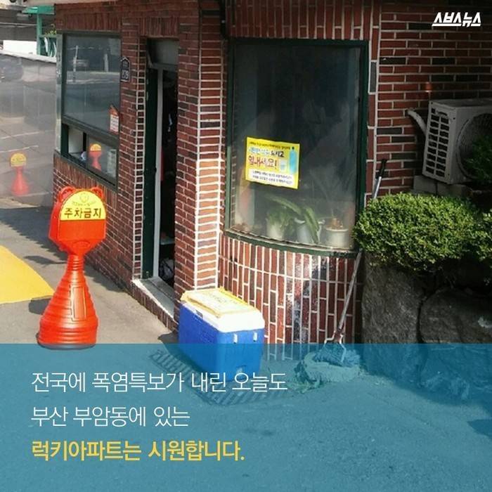 매일 아침 9시에 채워지는 생수 | 인스티즈