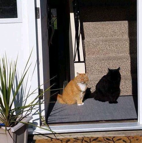 그림자 아님 | 인스티즈