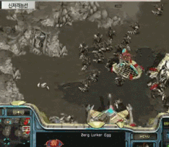 스타1 팬이라면 모두가 인정하는 경기(2탄) .gif | 인스티즈