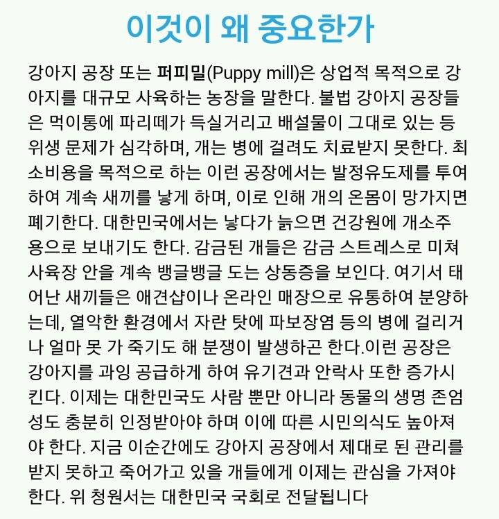 국회로 전달되는 강아지공장 철폐 청원서에 서명해주세요 | 인스티즈