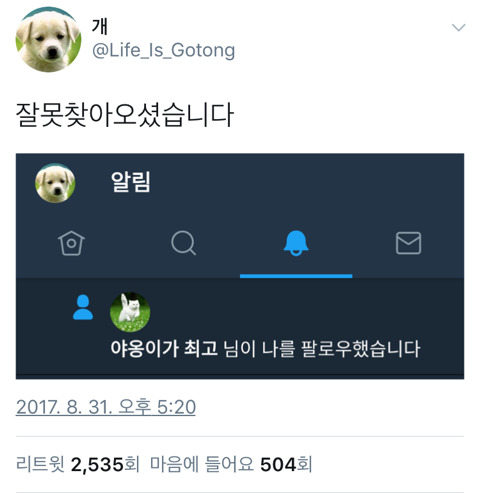 잘못 찾아온 손님.twt | 인스티즈