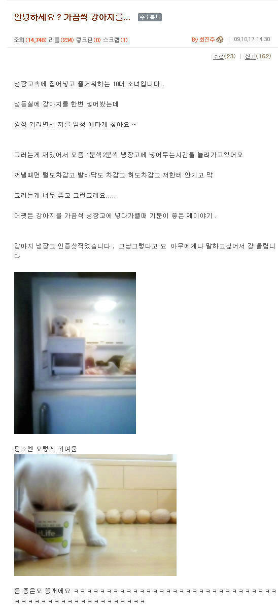 안녕하세요? 가끔씩 강아지를 냉장고 속에 집어넣고 즐거워하는 10대 소녀입니다 | 인스티즈