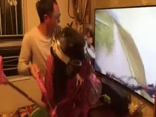 4d 세발자전거 | 인스티즈