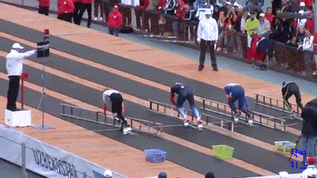 사다리 레이스.gif | 인스티즈