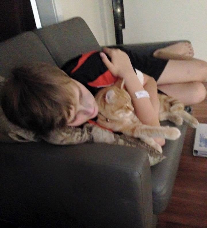 소년이 고양이를 구조하자, 고양이 역시 그 소년을 구원했다는 이야기.jpg | 인스티즈