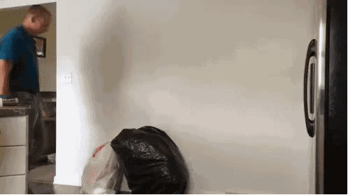 해외의 몰카들.gif | 인스티즈