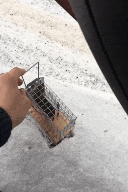 잘가 다신 잡히지 마라 | 인스티즈