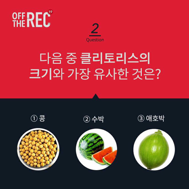 클리토리스의 크기는? | 인스티즈