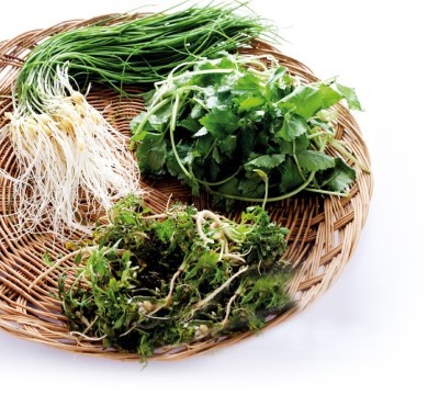 외적인 소원을 지대로 풀어줄테니 이 식단과 습관을 지키라고하면 한다 vs 안한다 | 인스티즈