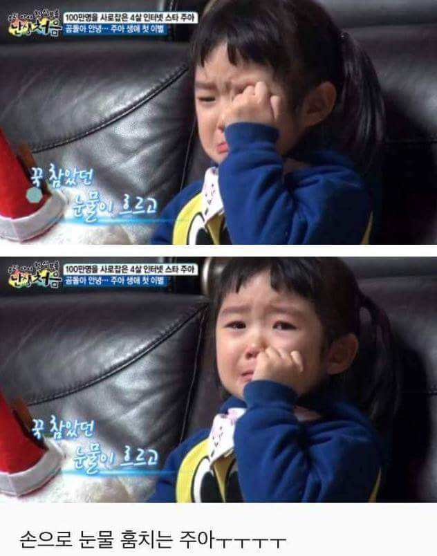(슬픔주의)이별을 처음 겪어보는 4살짜리 아이 (귀염주의) | 인스티즈