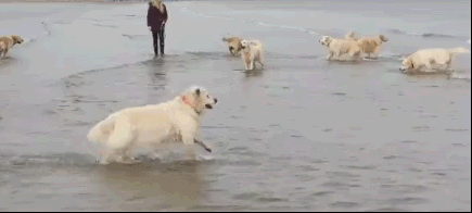 끼양~ 바다당♥ | 인스티즈