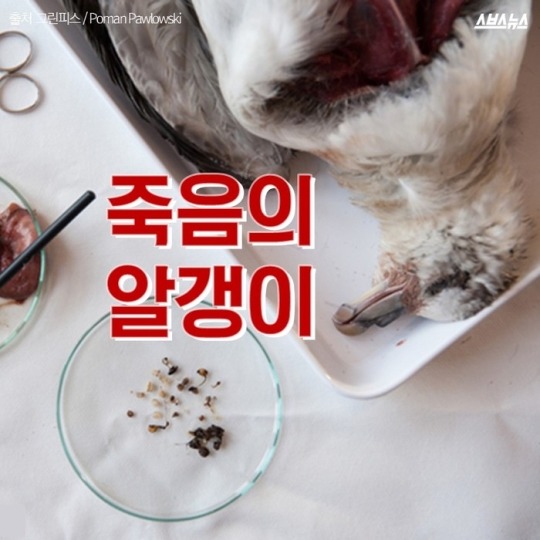 죽음의 알갱이 ...가생이펌 | 인스티즈