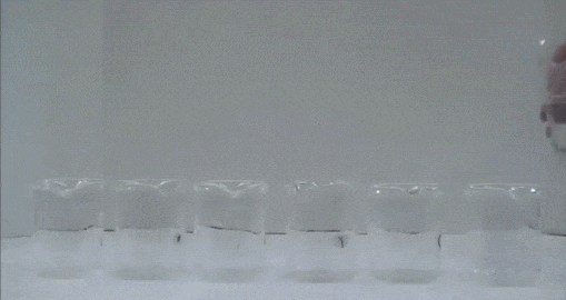 이과생만이 풀 수 있는 의문의 과학실험 | 인스티즈