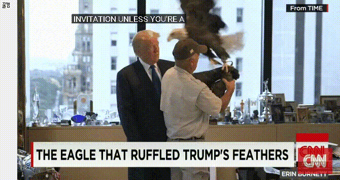 트럼프가 마음에안드는 독수리.gif | 인스티즈