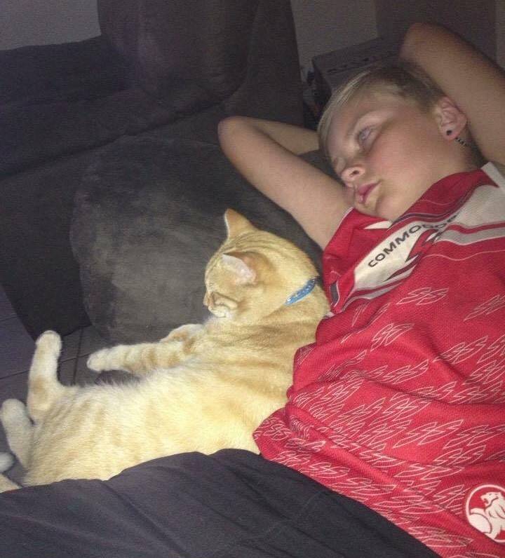 소년이 고양이를 구조하자, 고양이 역시 그 소년을 구원했다는 이야기.jpg | 인스티즈