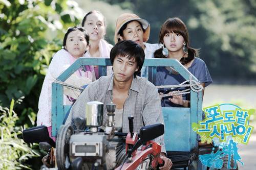 개인적으로 여름이면 생각나는 드라마 甲 | 인스티즈