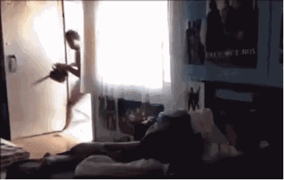 해외의 몰카들.gif | 인스티즈