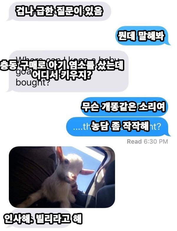 친구야 겁나 급한 질문이 있어 | 인스티즈