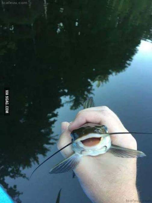 헤헤..나 기를 거지? | 인스티즈