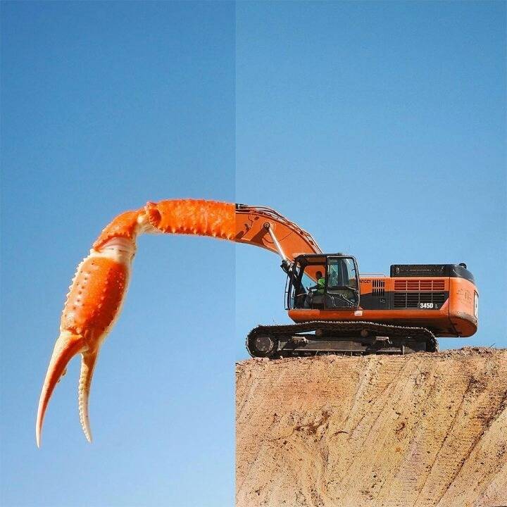 2개의 사진을 이어서 만든 작품 | 인스티즈