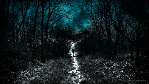  그런 날이 있었습니다 | 인스티즈