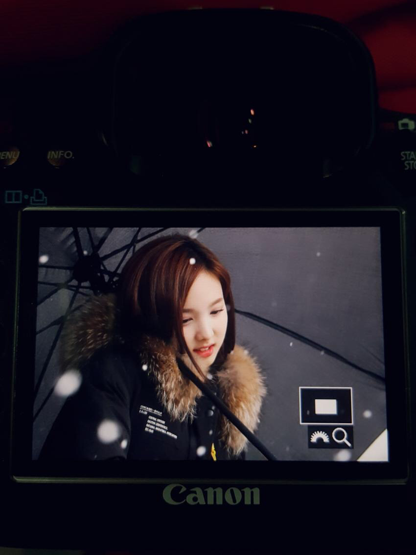 나연갤 제목 토끼 젤리로 유인하기 | 인스티즈