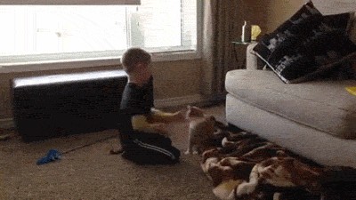 16대 맞고 반격. gif | 인스티즈