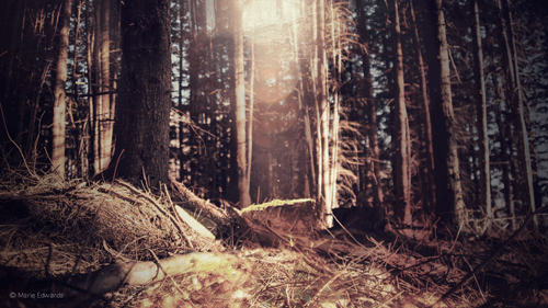  그런 날이 있었습니다 | 인스티즈