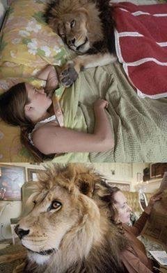 사자 키우는 집 | 인스티즈