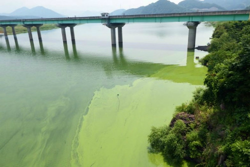 이명박을 재평가할 필요 없는 이유 | 인스티즈