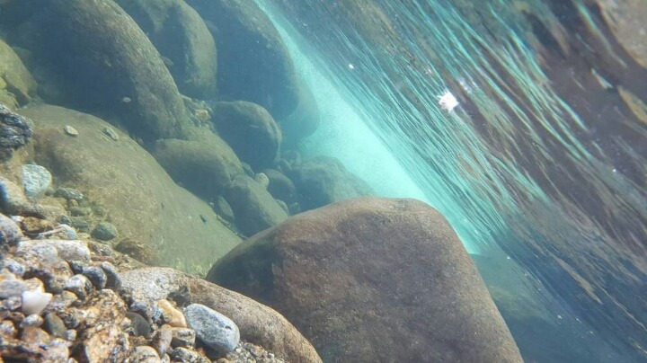 갤7 유저가 계곡 물 속에서 찍은 사진 | 인스티즈