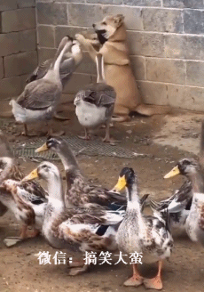 ??? : 등업 해달라고 ㅅㅂ | 인스티즈