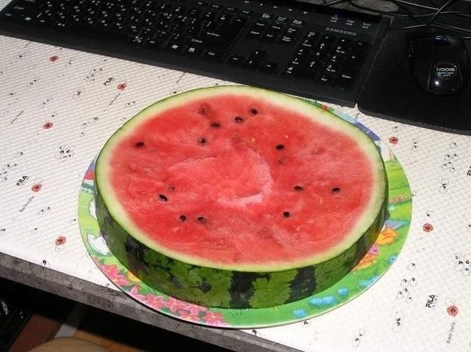  수박시리즈 | 인스티즈