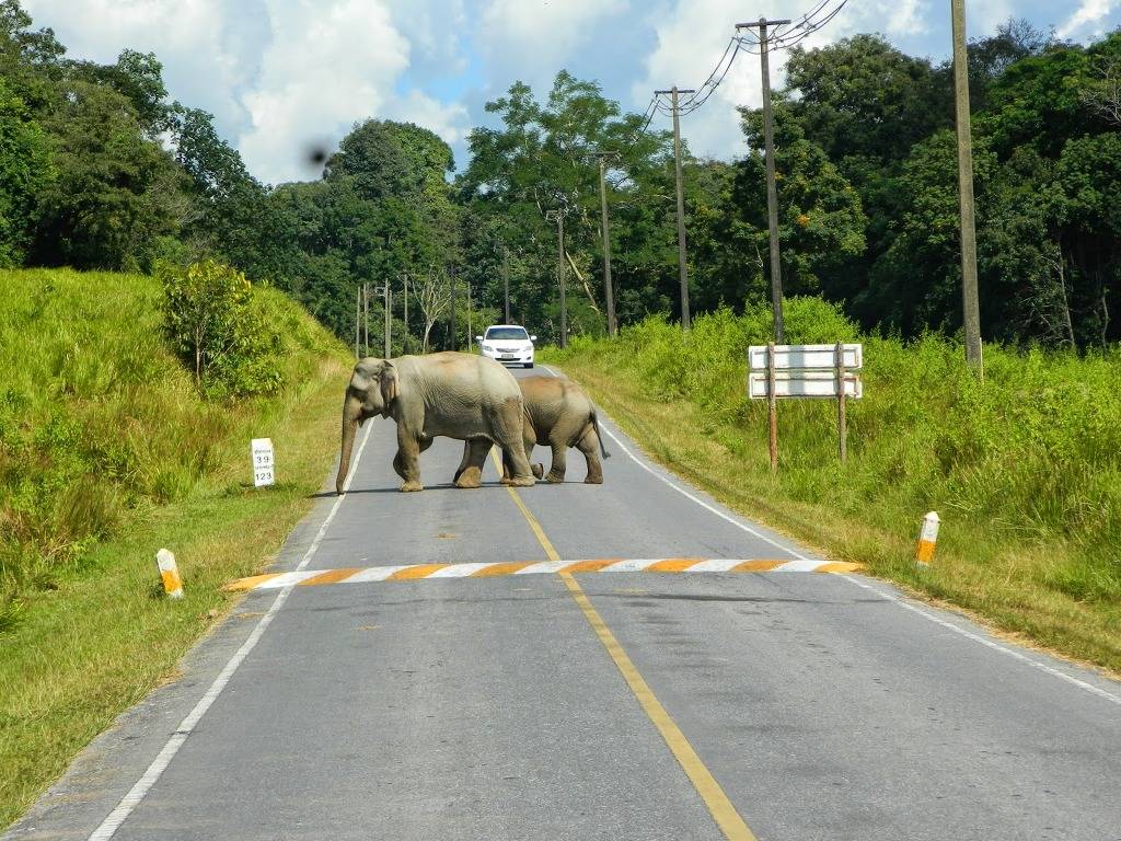 대학생 추천 여행지 태국ㅎㄷㄷ | 인스티즈