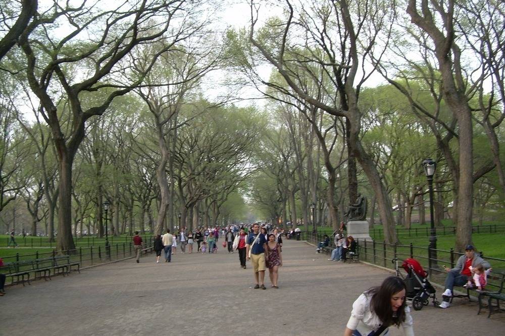 천조국의 흔한 공원 | 인스티즈