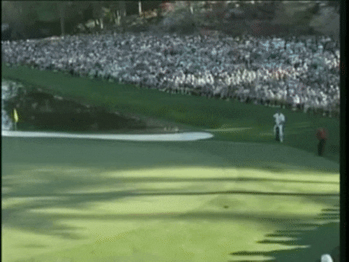 의도치 않은 광고효과 원탑.GIF | 인스티즈