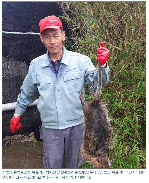 대한민국에 실존하는 뉴트리아 천적 | 인스티즈