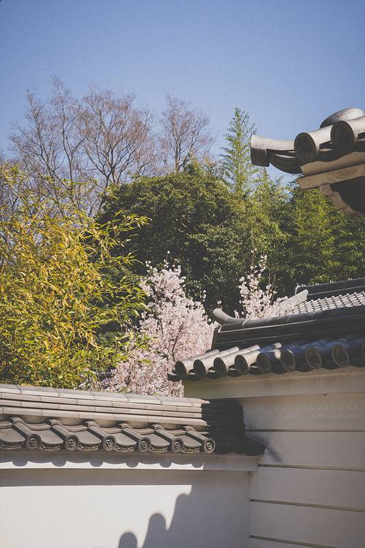 스냅사진 위주의 유치진지한 여행기 - 오사카&교토 (1) | 인스티즈