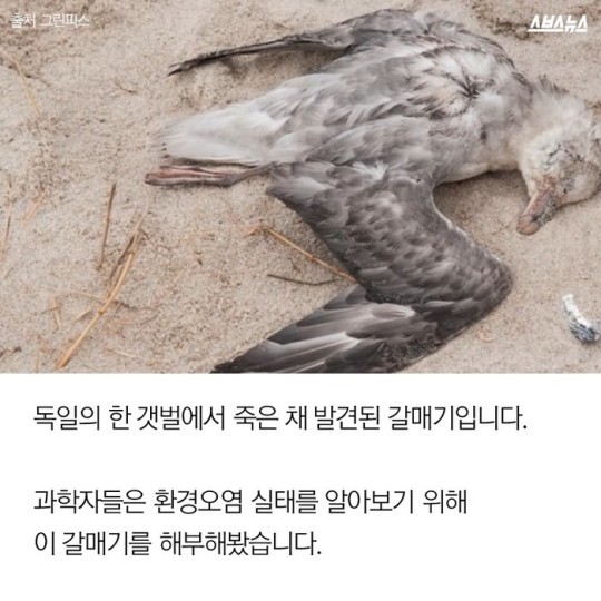 죽음의 알갱이 ...가생이펌 | 인스티즈