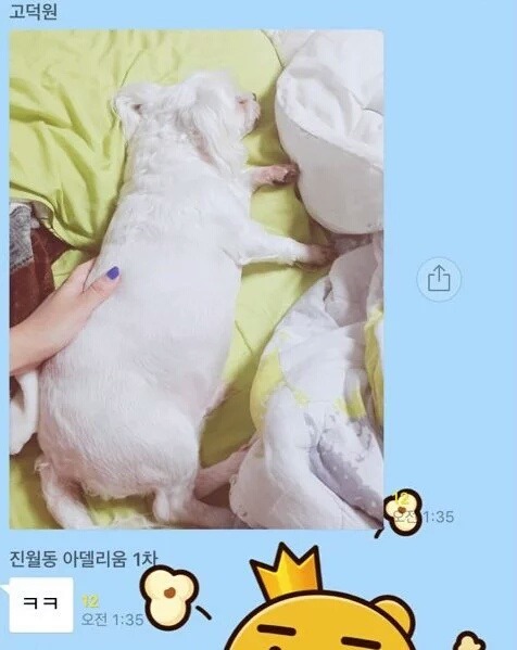 대형견이야?.jpg | 인스티즈