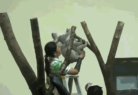  극한직업 ㅅㅅ도우미.gif | 인스티즈