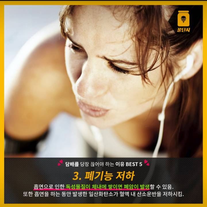 담배를 당장 끊어야 하는 이유 BEST5 | 인스티즈