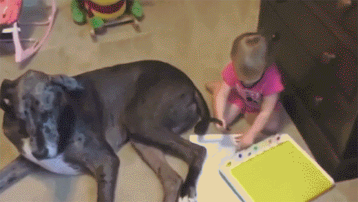 붓이 요기있넹 | 인스티즈