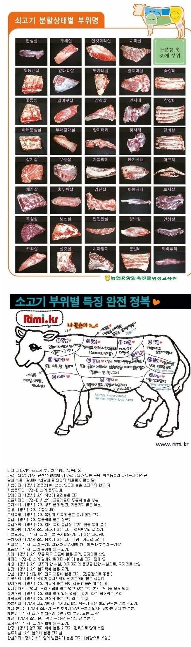 쇠고기 가장 선호 하는부위는? | 인스티즈